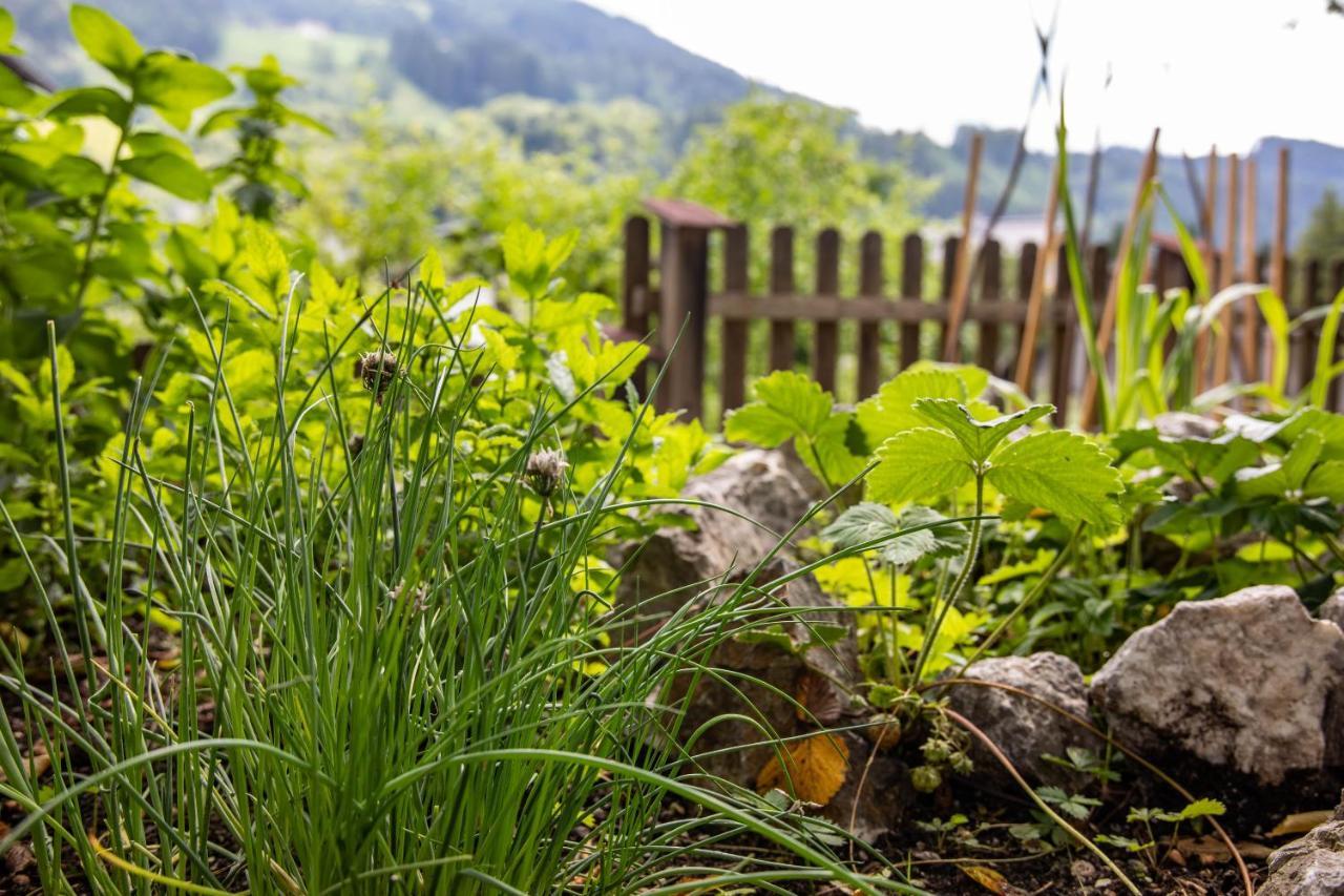 Alpenrelax Haus Weidmannsheil Wohnen Im Romantischen Forsthaus Werfen Exterior foto